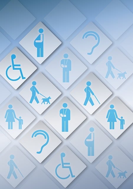 Different icons showcasing different disabilities or situations that require accessibility.
